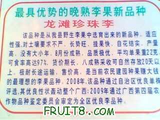 IMG1204A.jpg