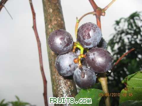 IMG_2398_copy.jpg