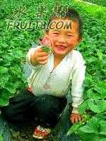 smallpic.jpg