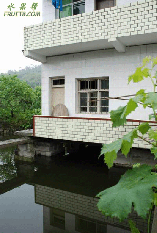 2.gif