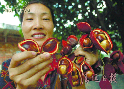 2.gif