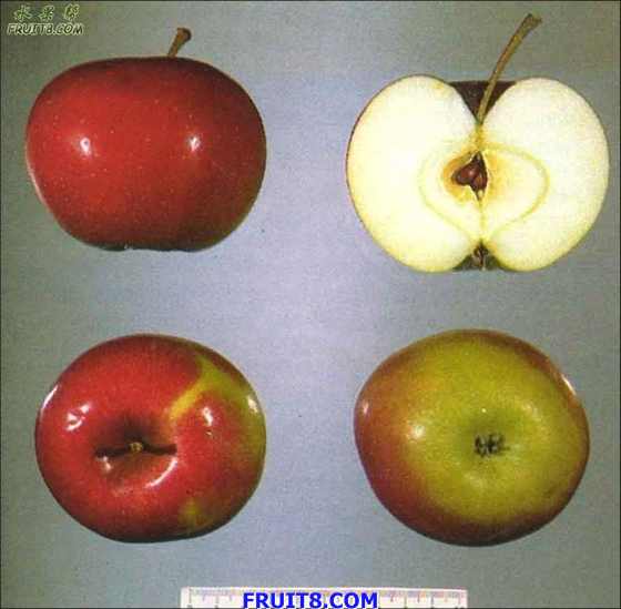 r18.jpg
