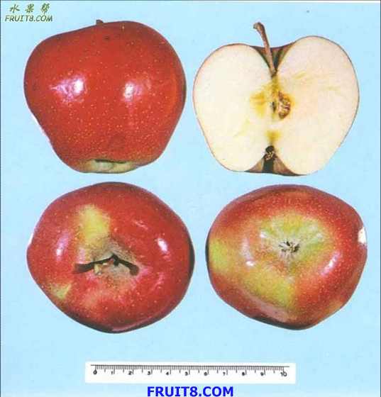 r11.jpg