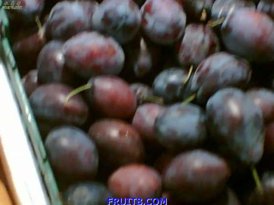 �ⶼû�ĺ� ���ؿ�� û�Թ� ����ͣ�óԵ� ������ʲô ��֪����������