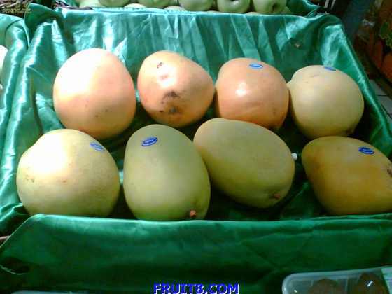 ���˵���ձ��ģ����� ����â�������ֽ�ʲô�أ�