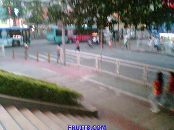 �ٹ�԰���·�ڵ��˾����˺ܶ�Ŷ