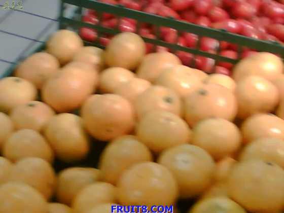 ��Ҳ�ó� �Ļ�ŶŶŶŶŶŶ