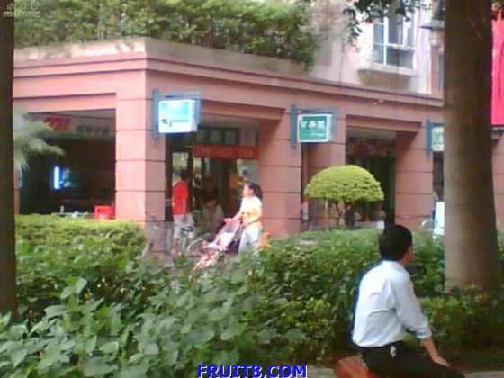 Image(097).jpg