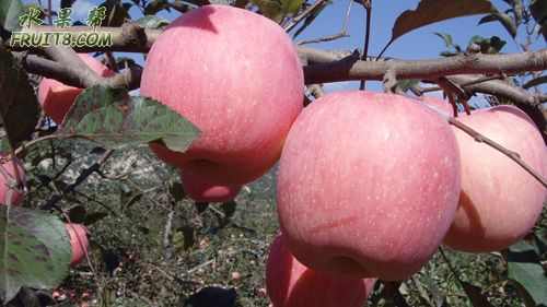 07,10,19�š����� 014.jpg