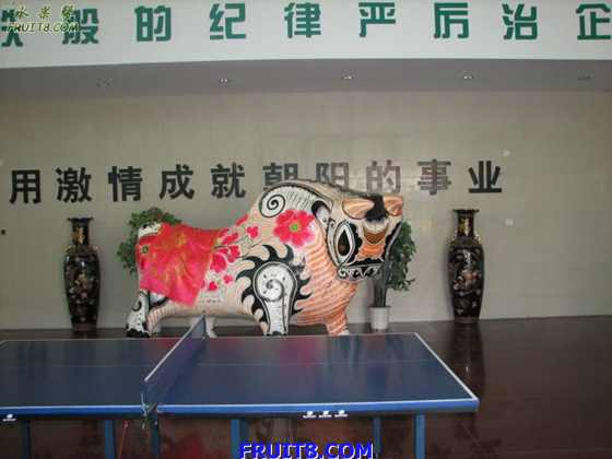 img20881.jpg