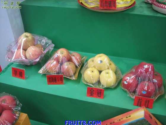 img22401.jpg
