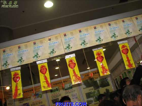 img21451.jpg