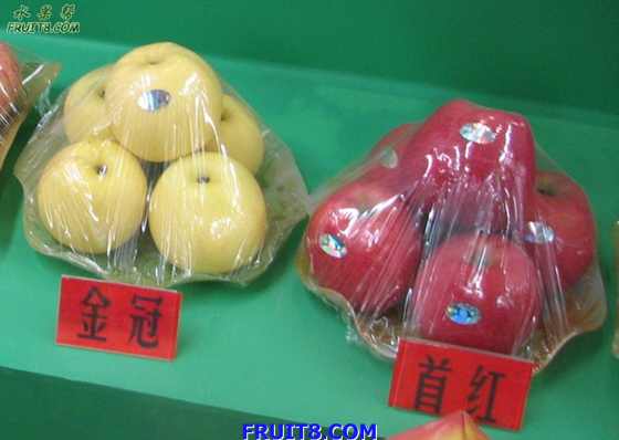 img224023.jpg