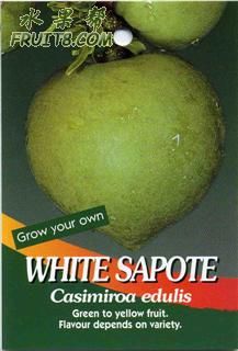 White-Sapote.jpg