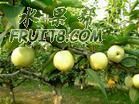 u=2758757020,3049258099&gp=20.jpg