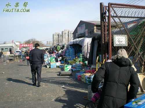 DSCN0250.jpg