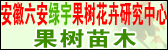 20060607.gif