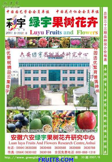 cover2008.jpg