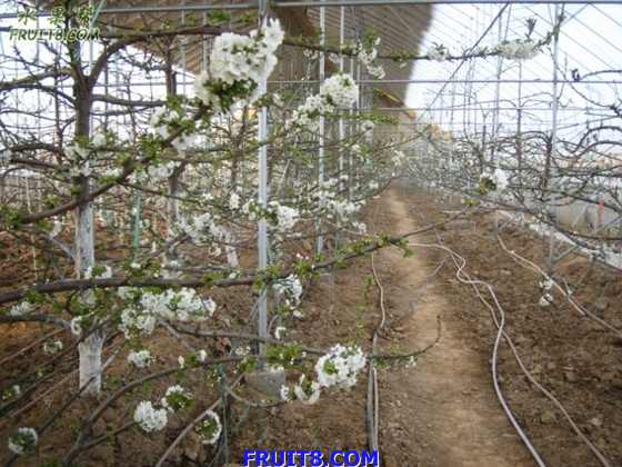 20080308ӣҵ 039.jpg