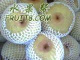 IMG0019A.jpg