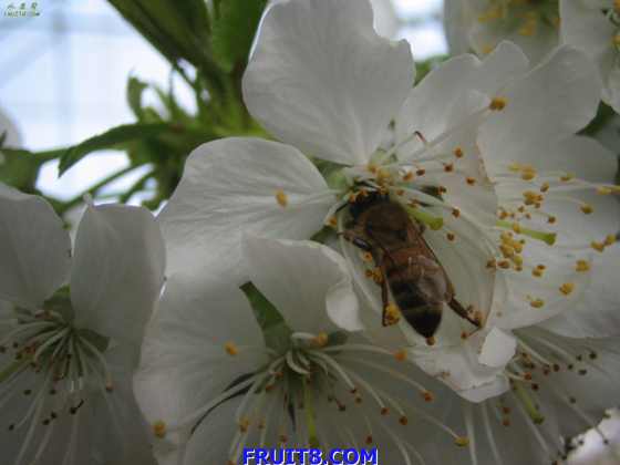 20080308ӣҵ 037.jpg