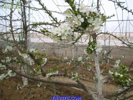 20080308ӣҵ 030.jpg