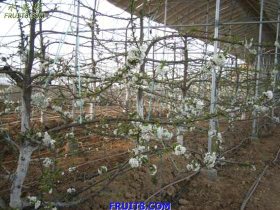 20080308ӣҵ 043.jpg