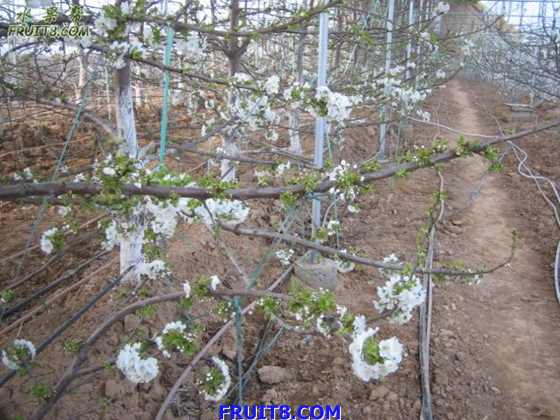 20080308ӣҵ 041.jpg