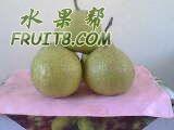 ���� IMG0016A.jpg