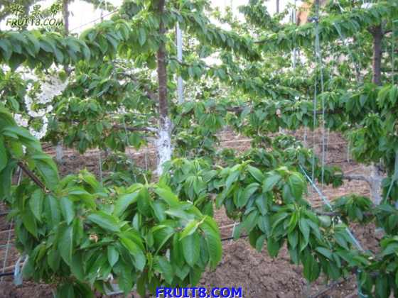 20080318źͲ̲ӣҲι 166.jpg