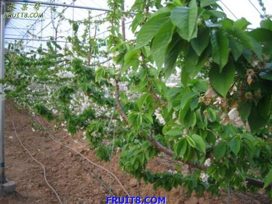 20080318źͲ̲ӣҲι 180.jpg