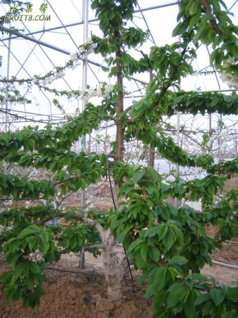 20080318źͲ̲ӣҲι 182.jpg