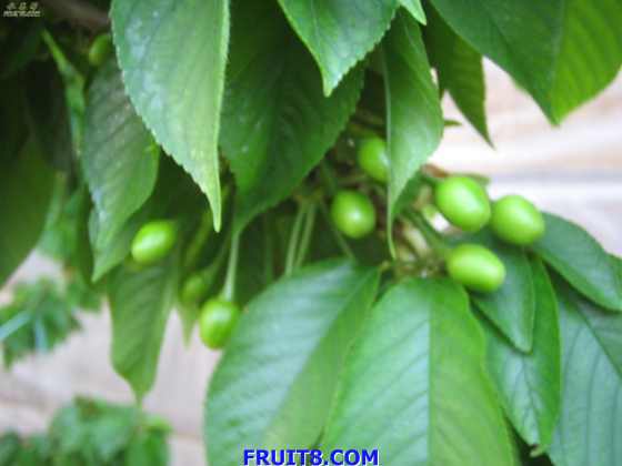 20080318źͲ̲ӣҲι 168.jpg