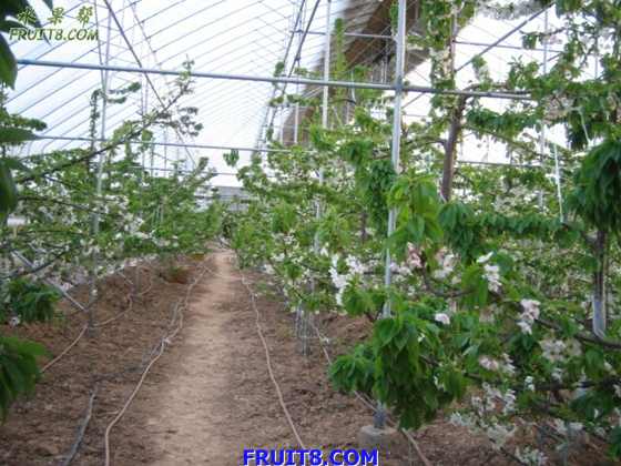 20080318źͲ̲ӣҲι 172.jpg