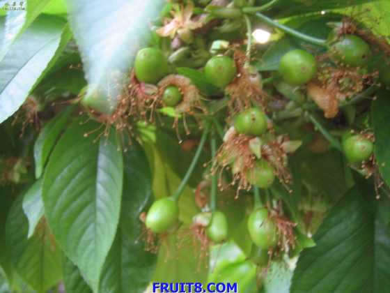 20080318źͲ̲ӣҲι 169.jpg