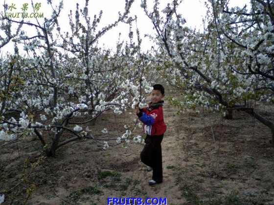 Ƭ 013.jpg