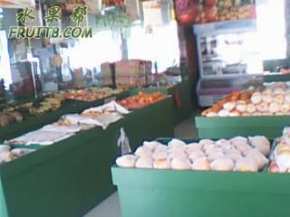 ͼƬ 012.jpg