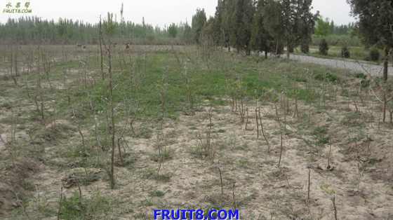 Resize of IMG_2470.jpg