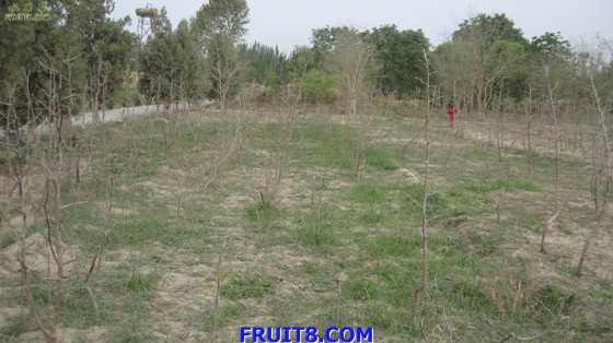 Resize of IMG_2472.jpg