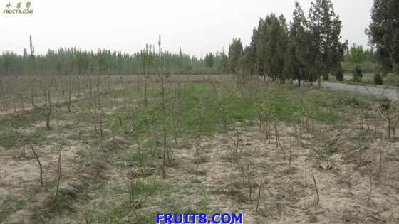 Resize of IMG_2469.jpg