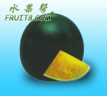 1.gif