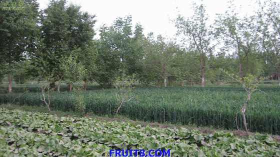 Resize of IMG_2953.jpg