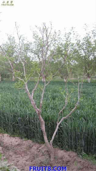 Resize of IMG_2952.jpg