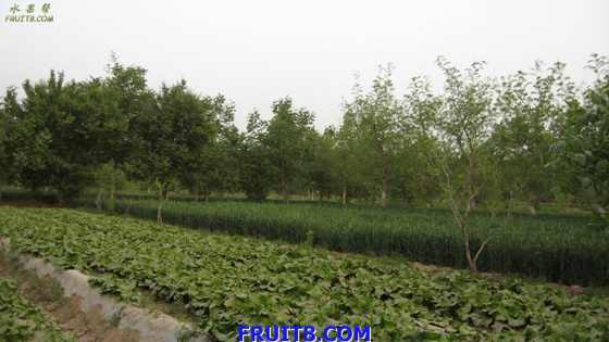 Resize of IMG_2949.jpg