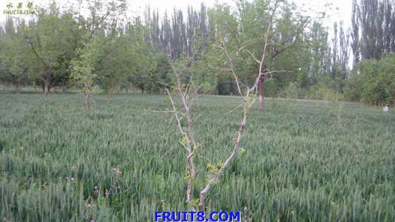 Resize of IMG_2951.jpg