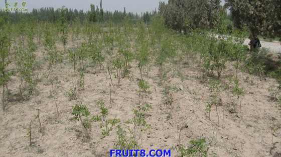 Resize of IMG_3005.jpg