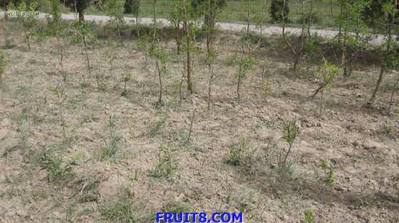 Resize of IMG_2984.jpg