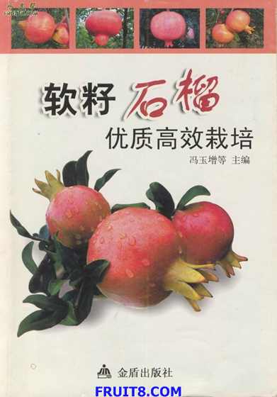ʯƷͼƬ1.JPG