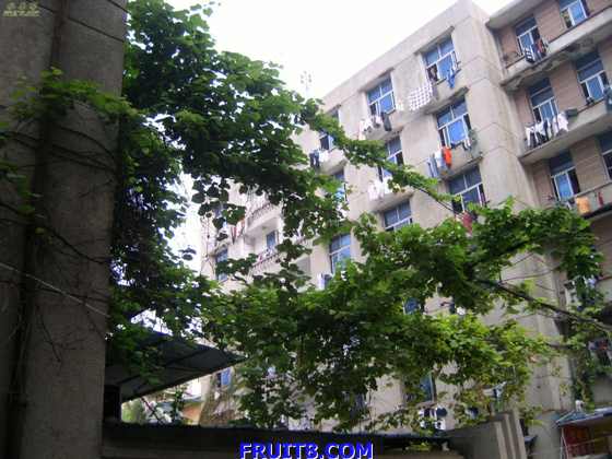 SANY0003.JPG