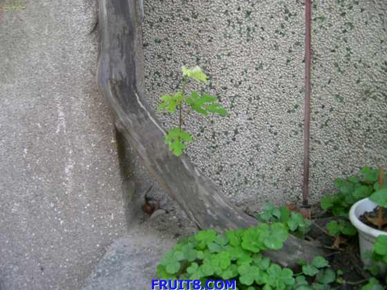 SANY0012.JPG